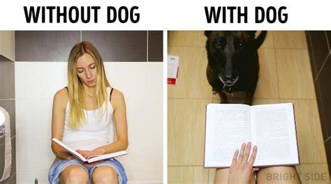 K­ö­p­e­k­l­e­ ­Y­a­ş­a­m­a­k­ ­v­s­ ­K­ö­p­e­k­s­i­z­ ­Y­a­ş­a­m­a­k­